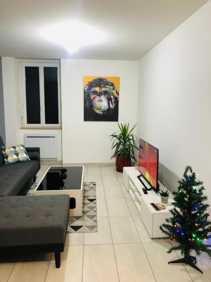 Superbe Appartement Roanne Ngoại thất bức ảnh